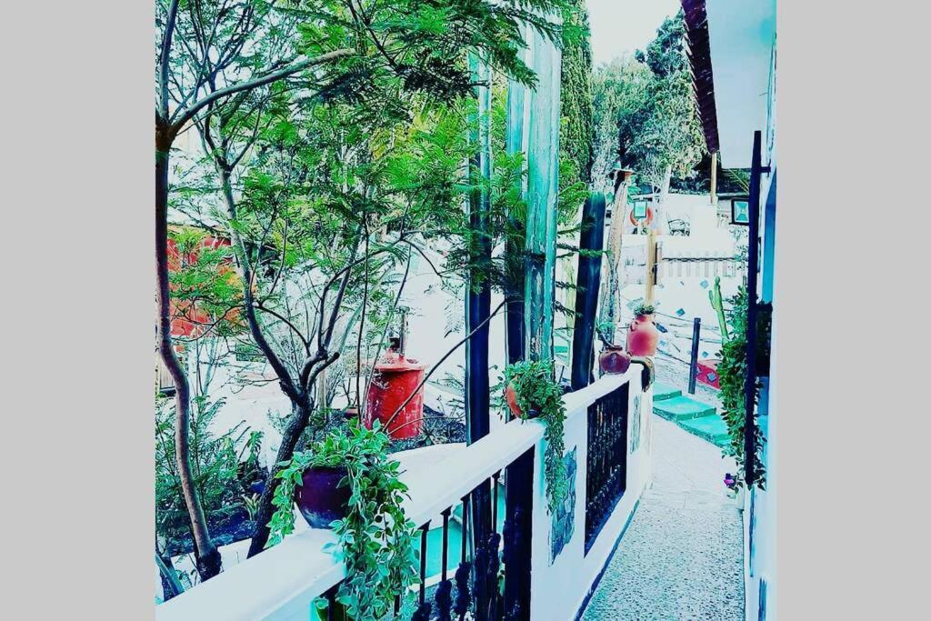 Gran Canaria La Finca De Carmelita Y Bartolito Las Palmas de Gran Canária Exterior foto